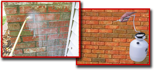 mold3.png mold3.png