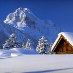 Winter,_snow Winter,_snow